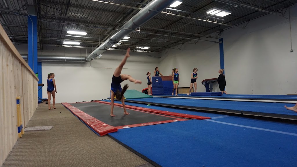  SWAG Gymnastics