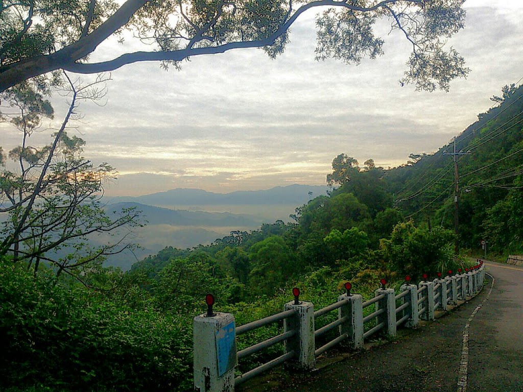 海倫咖啡 五指山行動咖啡館 的照片