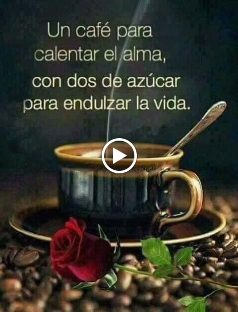 Cafeteria Cerveceria Moja La Porra — Videos