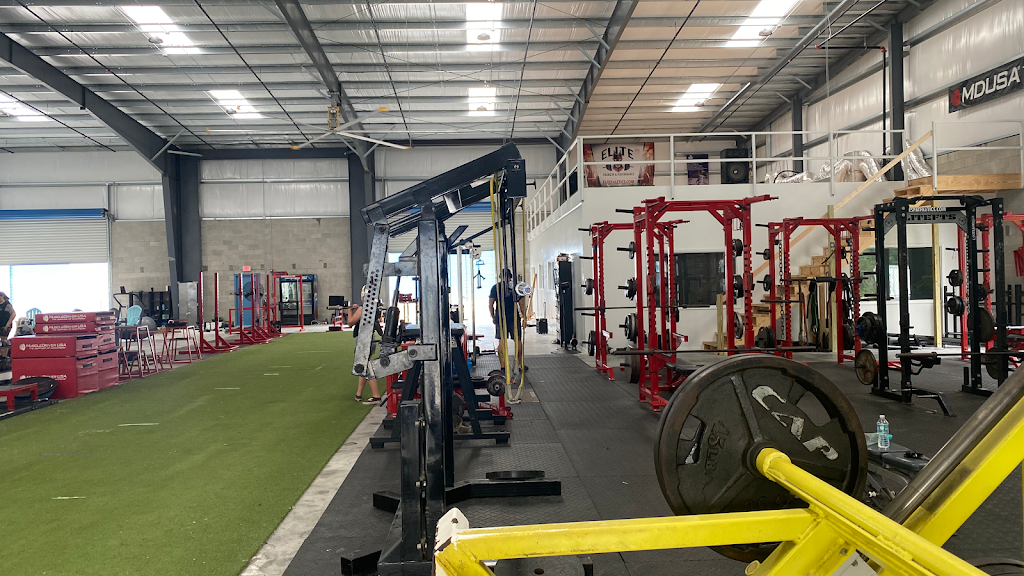  Elite Strength and Performance