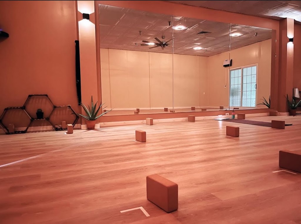  Down Dog Yoga & Lifestyle Studio