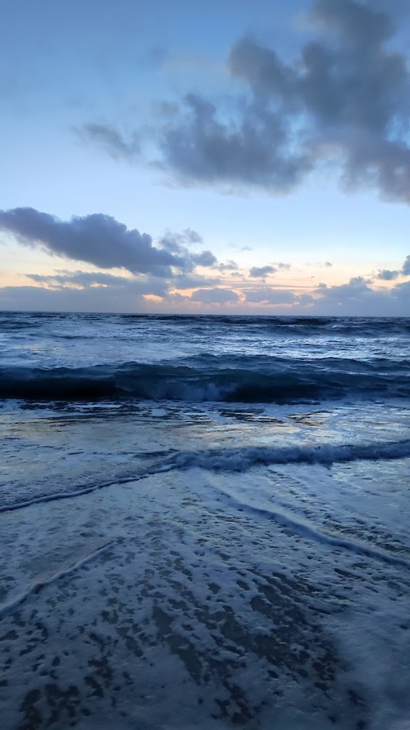 CEIP Noalla - Telleiro