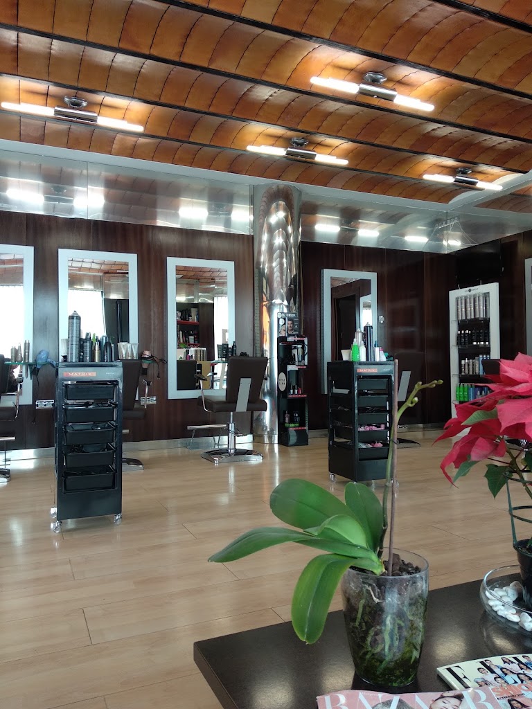 Equinoccio Peluqueros — Interior