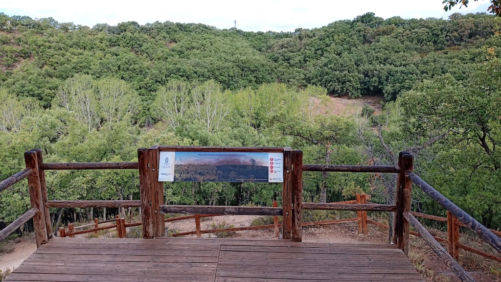 Bosque de Valdenazar