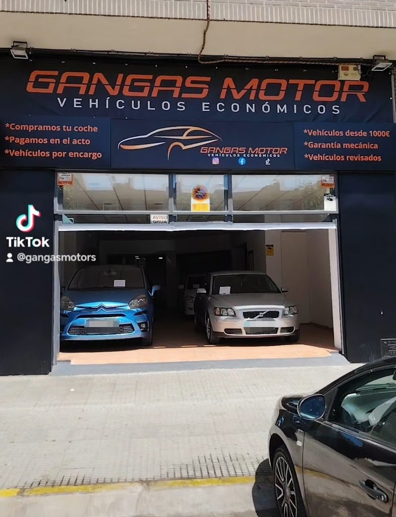 gangasmotor