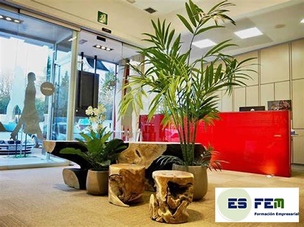ESFEM FORMACION EMPRESARIAL S.L.
