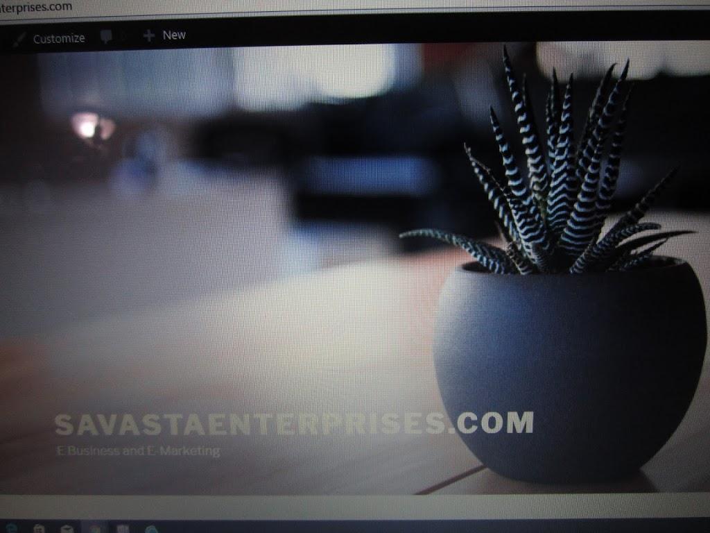 Savastaenterprises