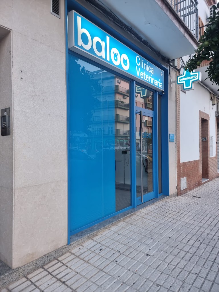 Baloo Clinica Veterinaria — Del propietario
