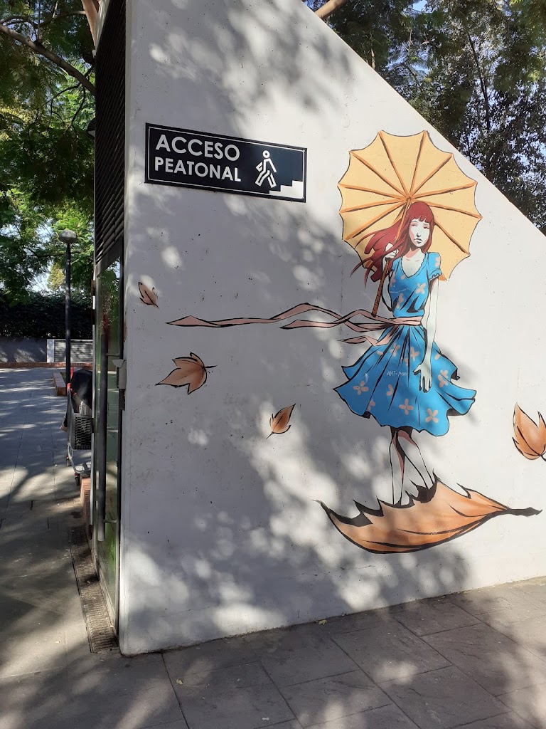 Estacionamiento Lepanto — Del propietario