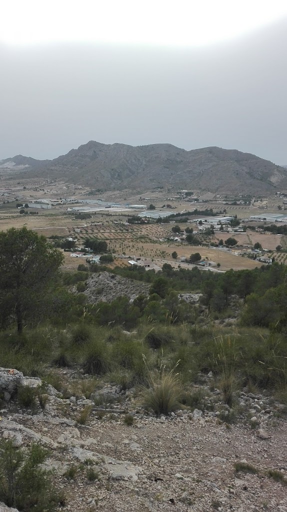 Campo De Tiro Los Castillarejos