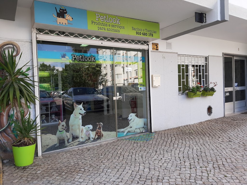 Petlook - Centro de Estética Animal, Serviços e Produtos para Animais em Linda-a-Velha