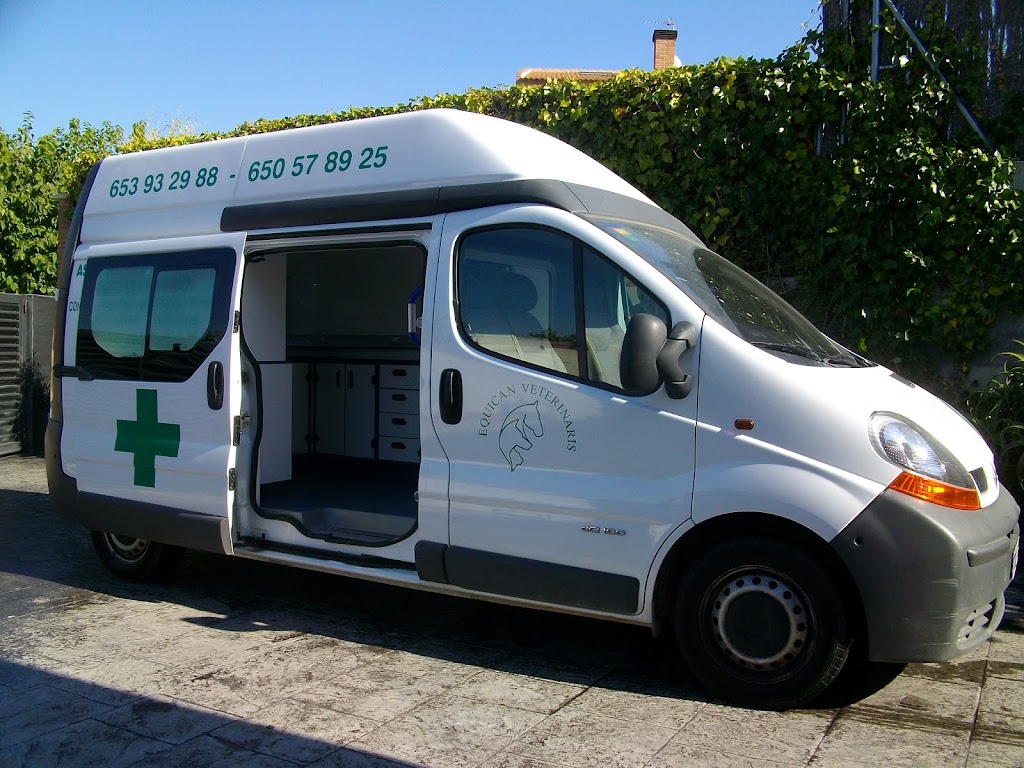 Equican Veterinaris Veterinario domicilio (Calafell y Baix Penedes) — Del propietario