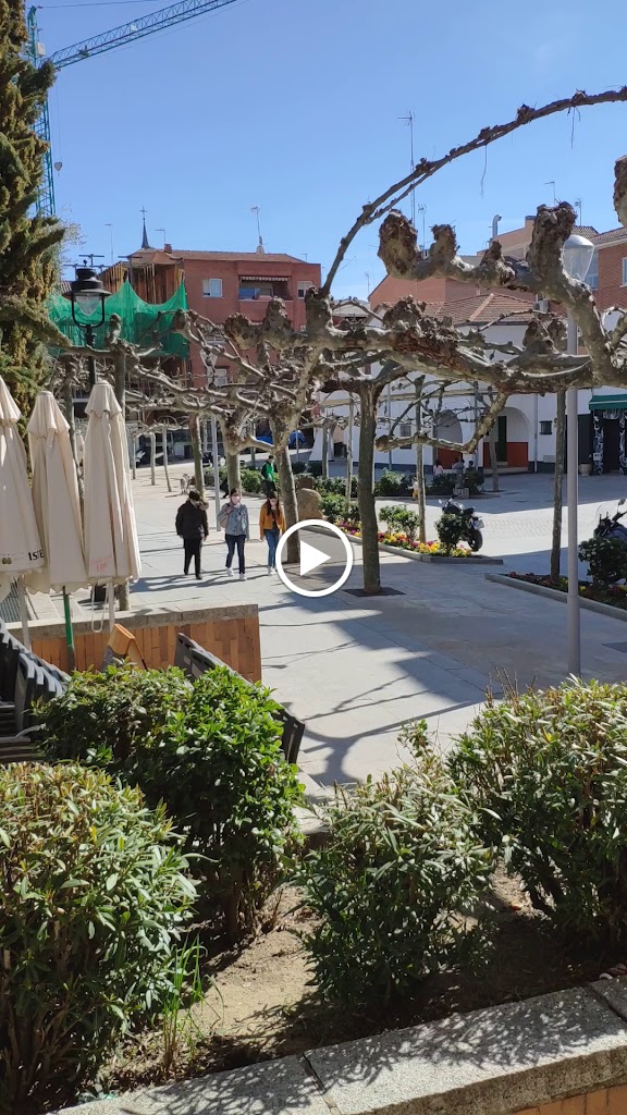 La Trucha — Videos