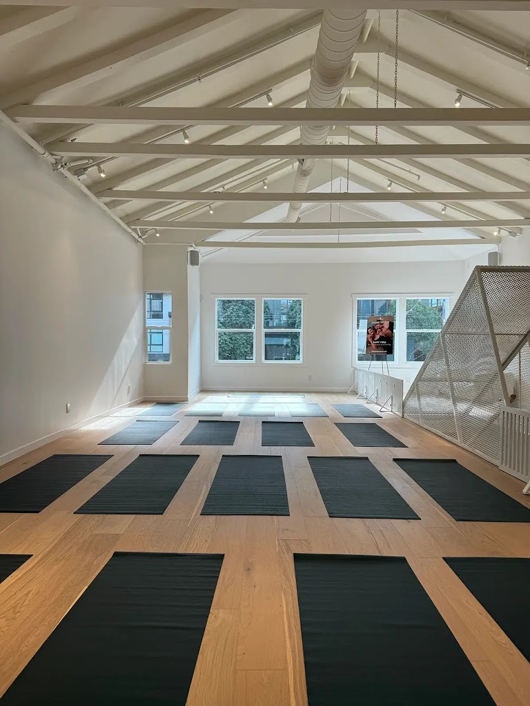  Puppy Sphere | Puppy Yoga (San Francisco)