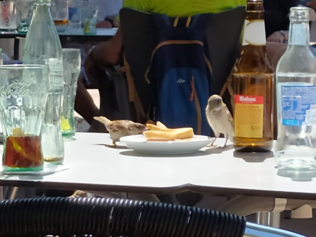 Bar Tragos — Comida y bebida