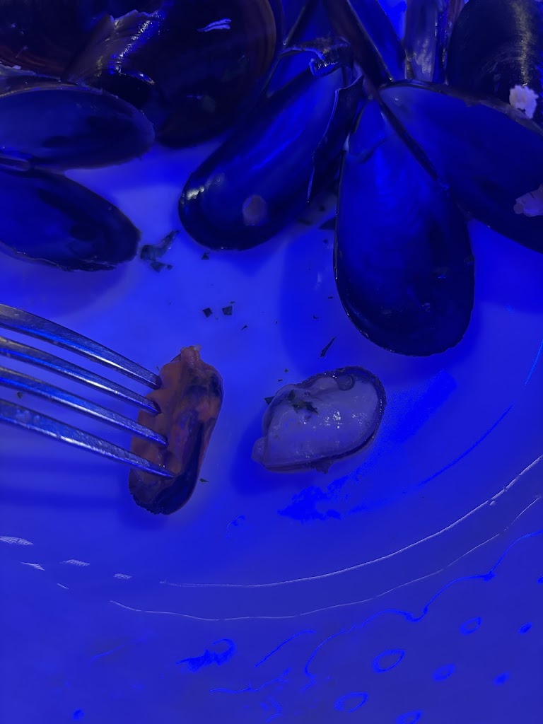 Iberica Restaurante — Mas recientes
