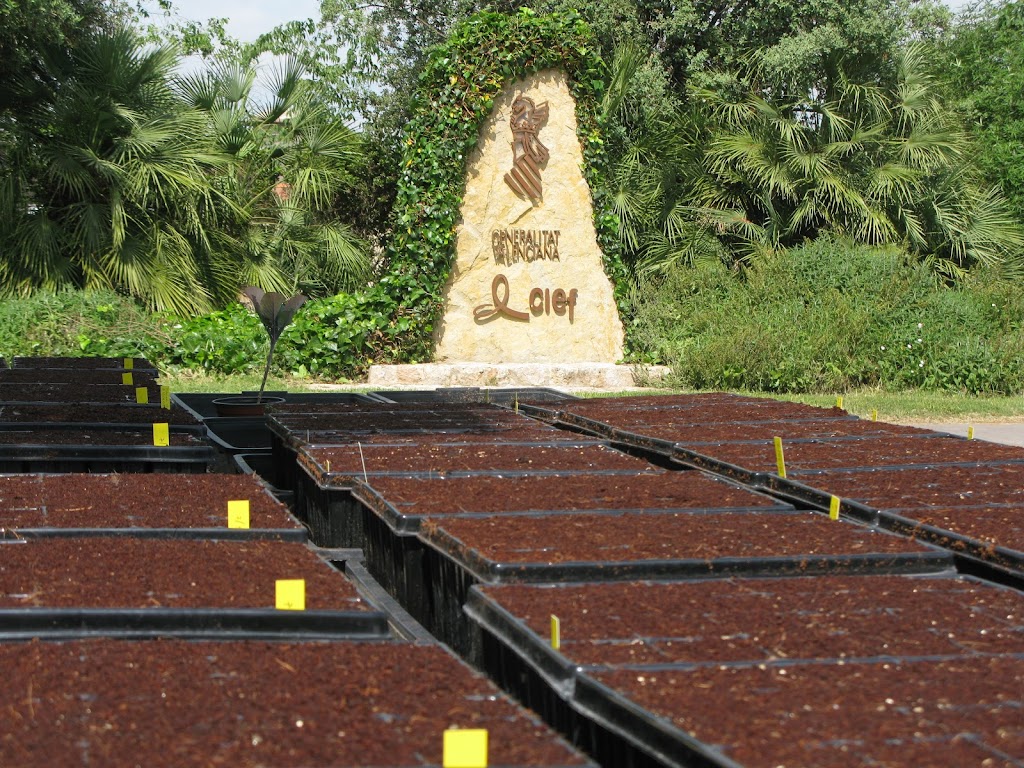 Centro para la Investigacion y Experimentacion Forestal (CIEF)