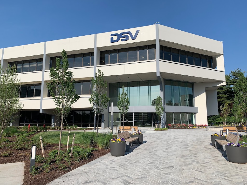 DSV