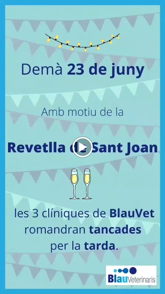 Blau Veterinaris Arenys de Mar — Videos