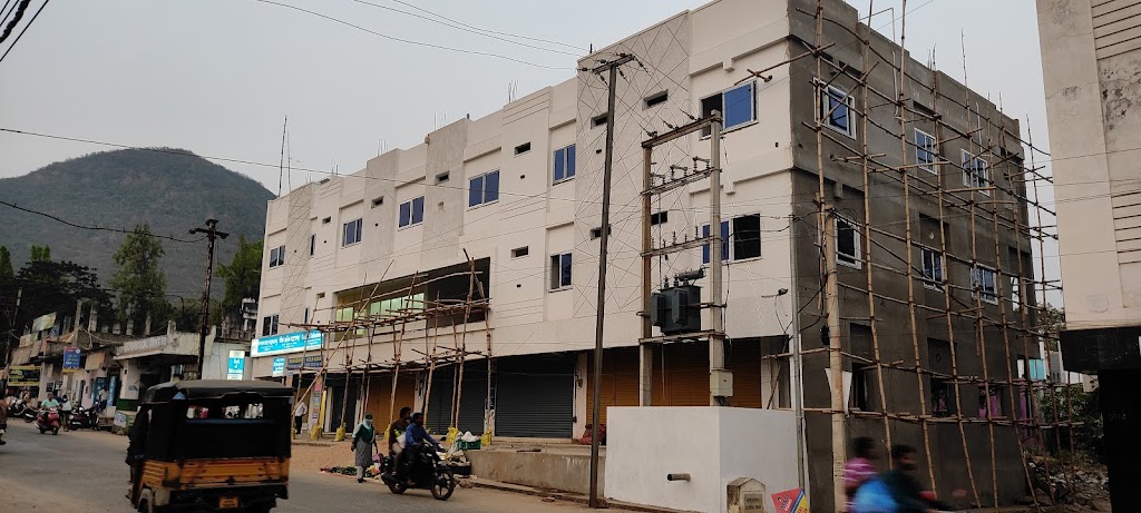 Hotel Satya International