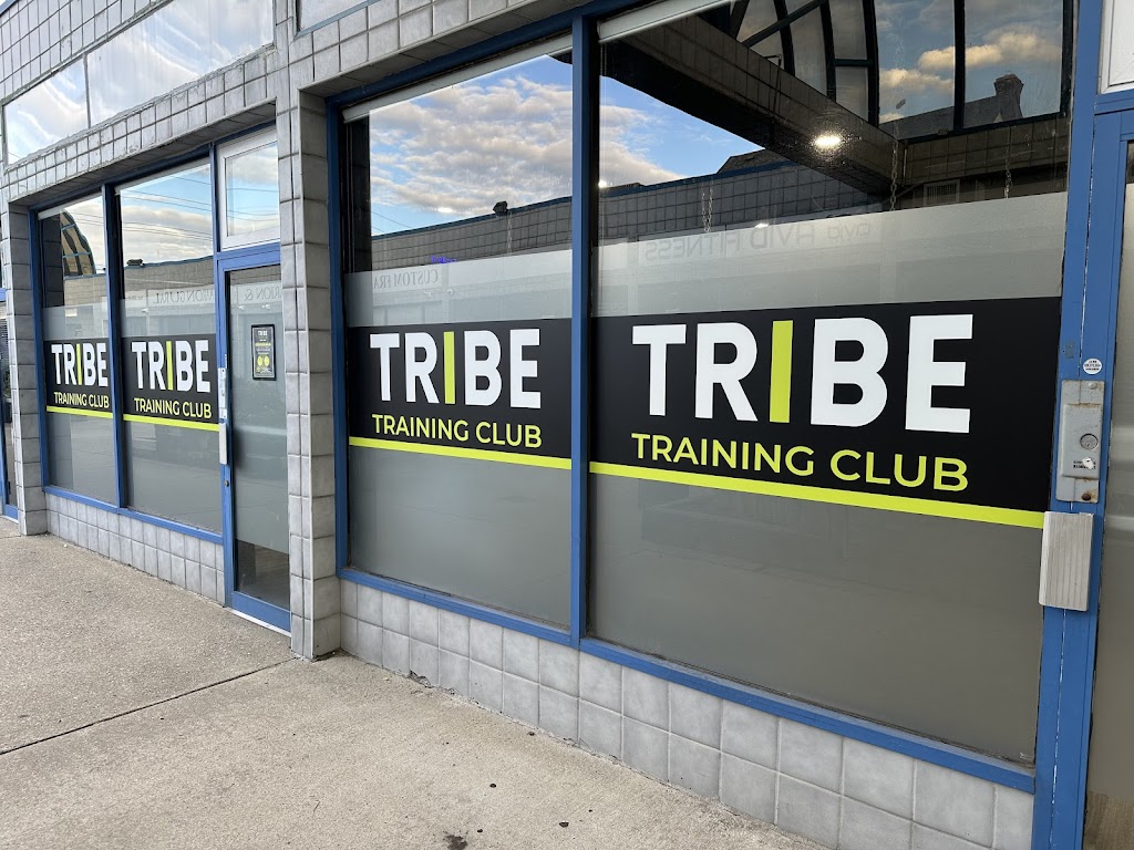  TRIBE Training Club