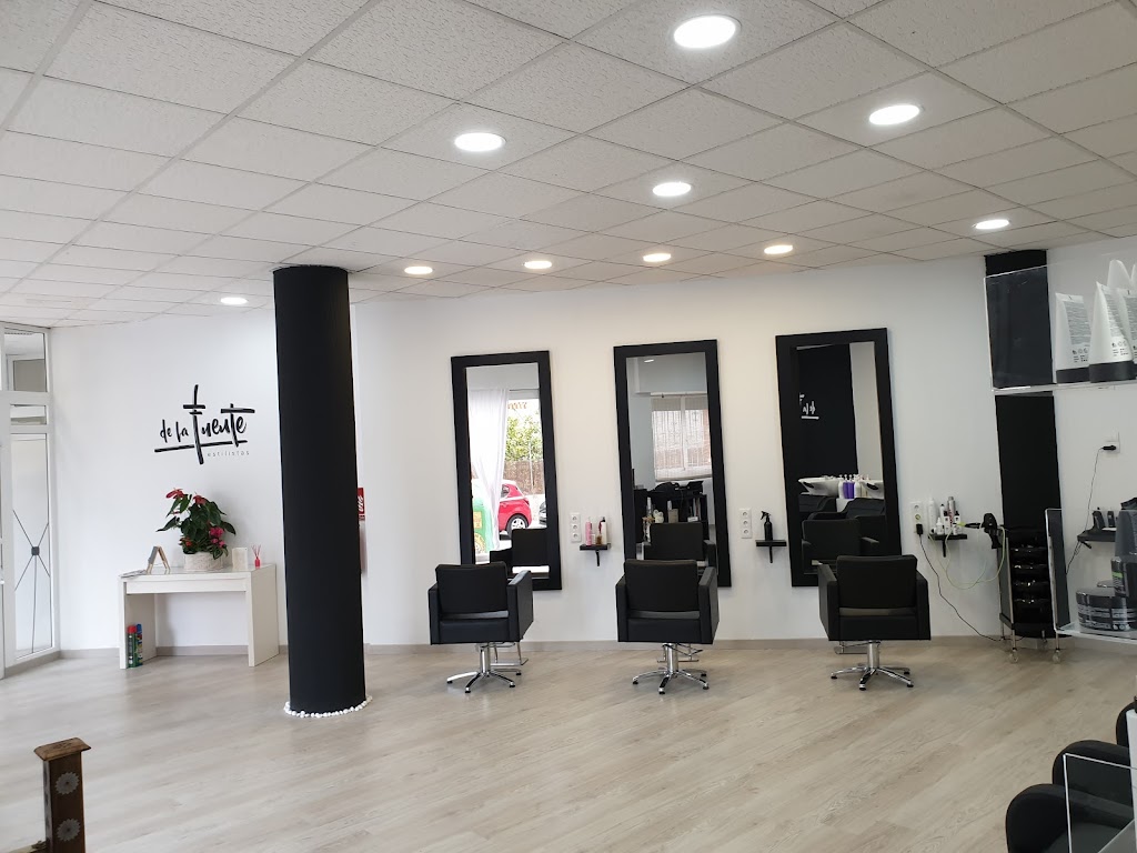Peluqueria De la fuente estilistas