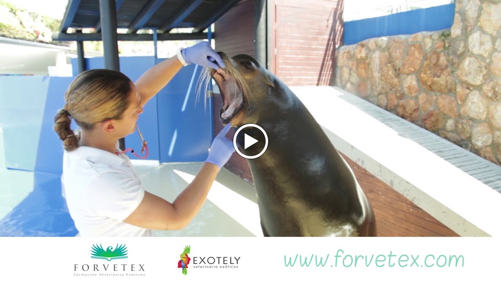 Exotely, Clinica Veterinaria — Del propietario
