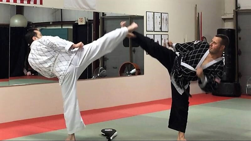  The Martial Instinct Self Defense