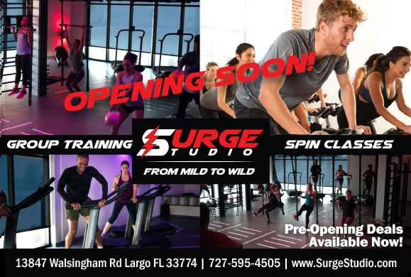  Surge Studio
