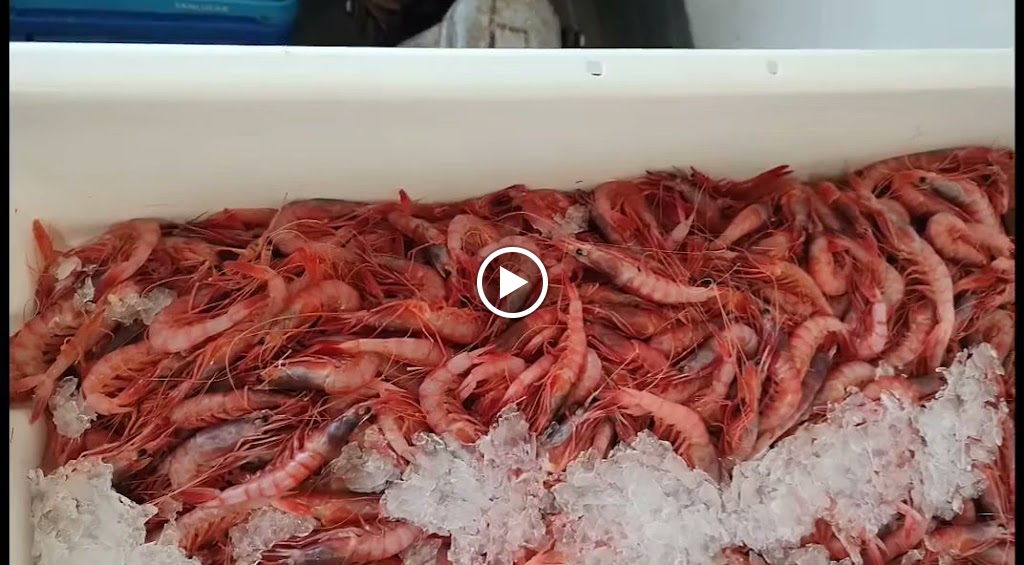 Pintxame Gastrobar — Videos