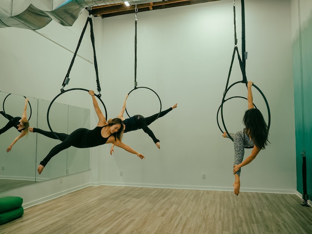  Ascendance Pole and Aerial Arts