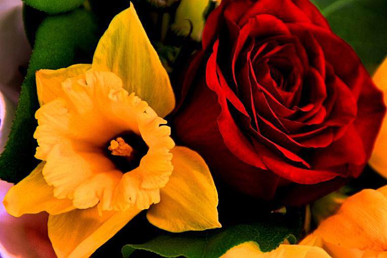 Rosedils Flowers