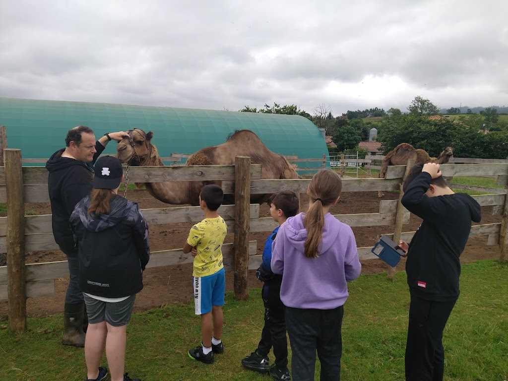 Motiva2 Espacio Educativo