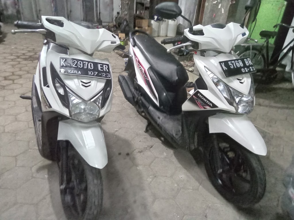Nardi Cat/Nduk Syifa
