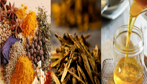  Wasatch Ayurveda and Yoga