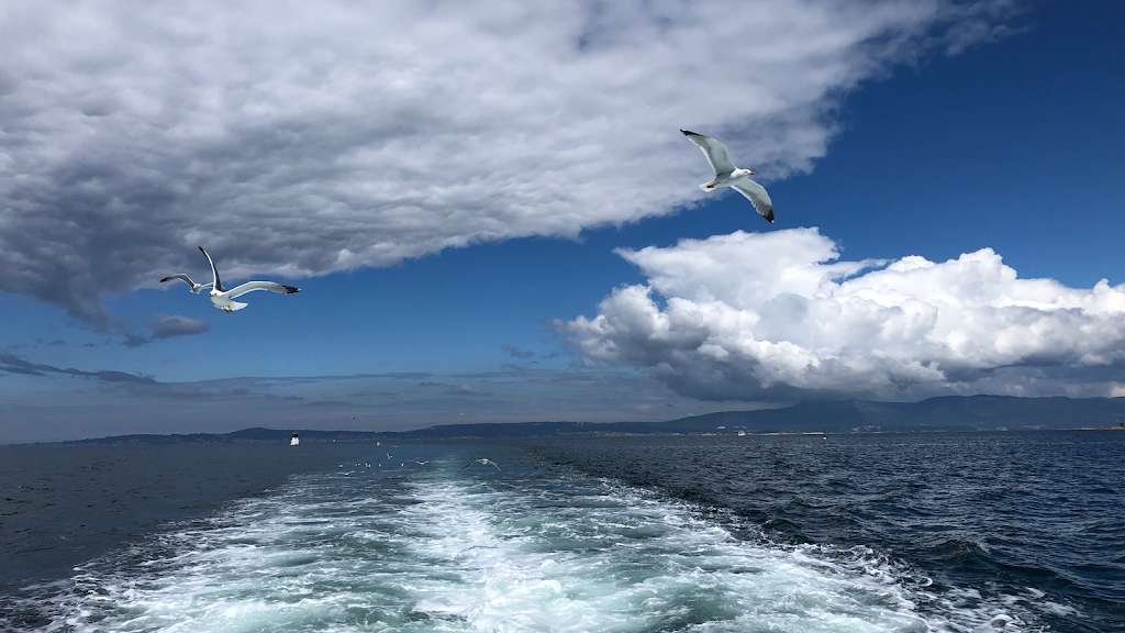 Atico Andalucia Plaza