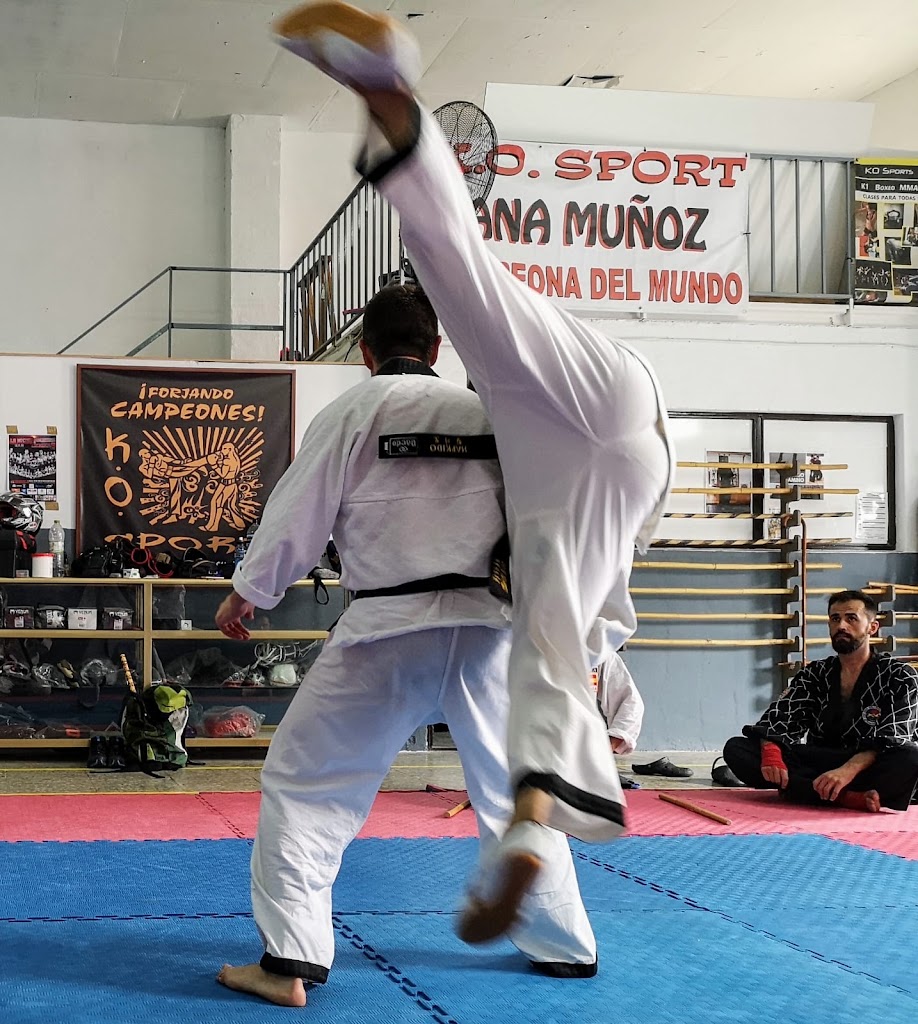 Moo Shin Kwan - Hapkido Lucena (MSK) — Arte marcial