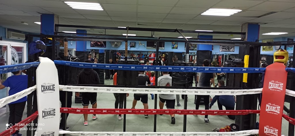 Escuela de boxeo Osuna — Boxeo