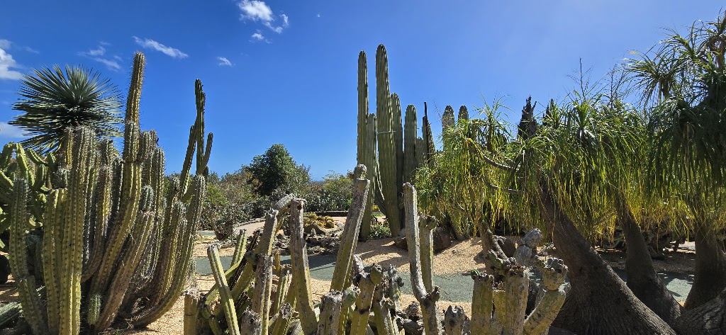 Cafe Bar Europa Benalmadena — Jardin de los Cactus y otras Suculentas
