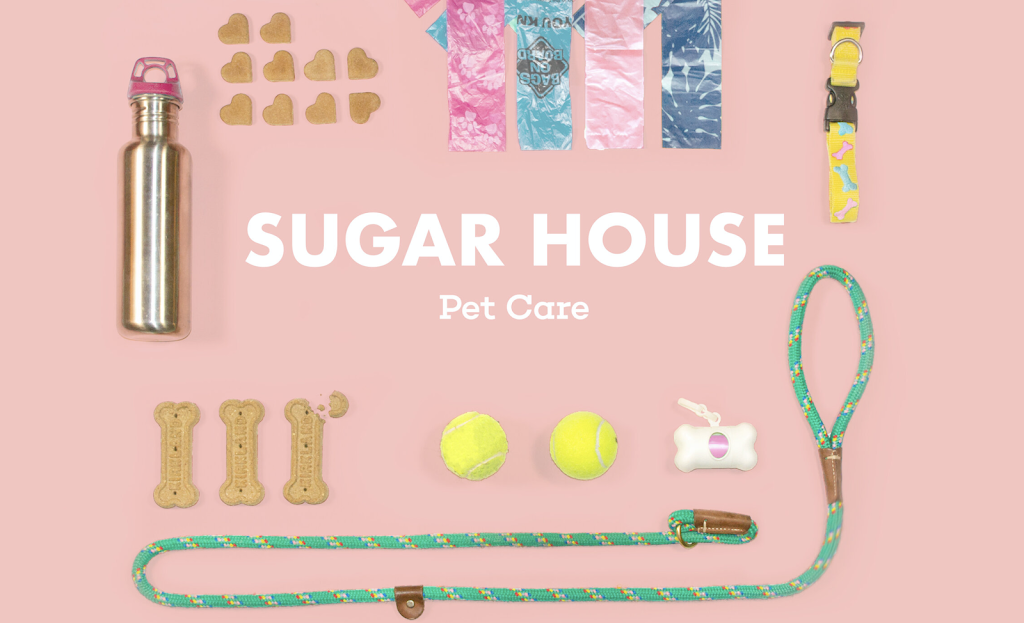 Dog walker in Salt-Lake-City