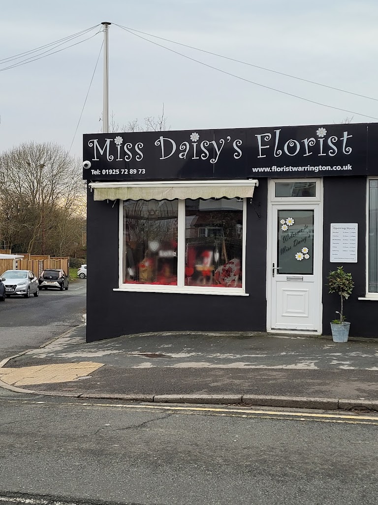 Miss Daisys
