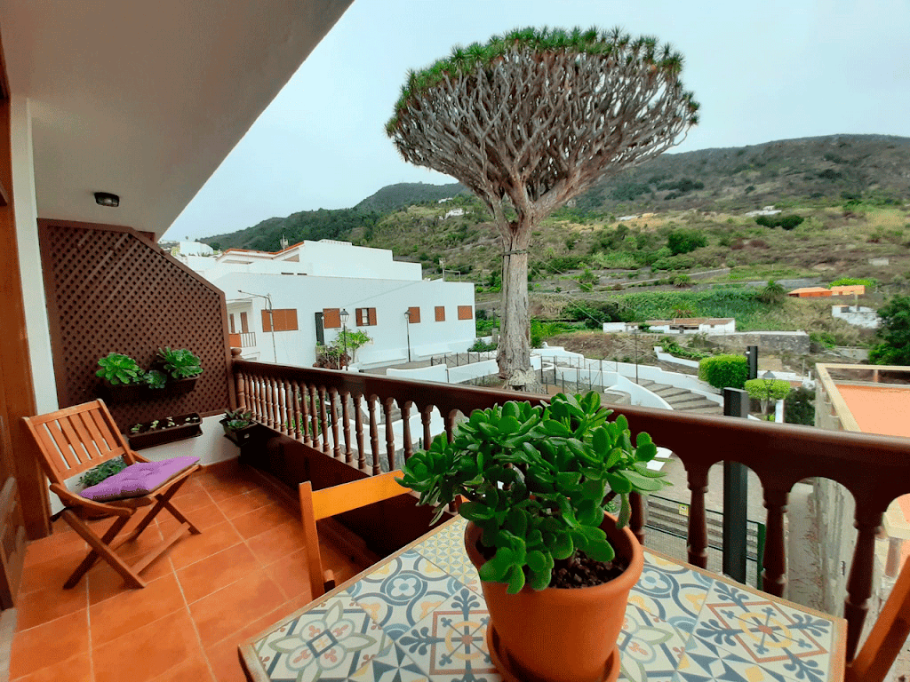 Drago Chico Piso Vacacional Icod de los vinos