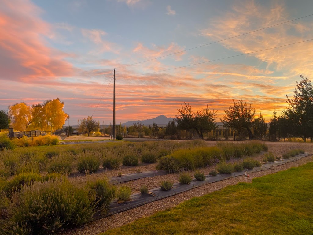  Sukha Soma Yoga & Structural Integration