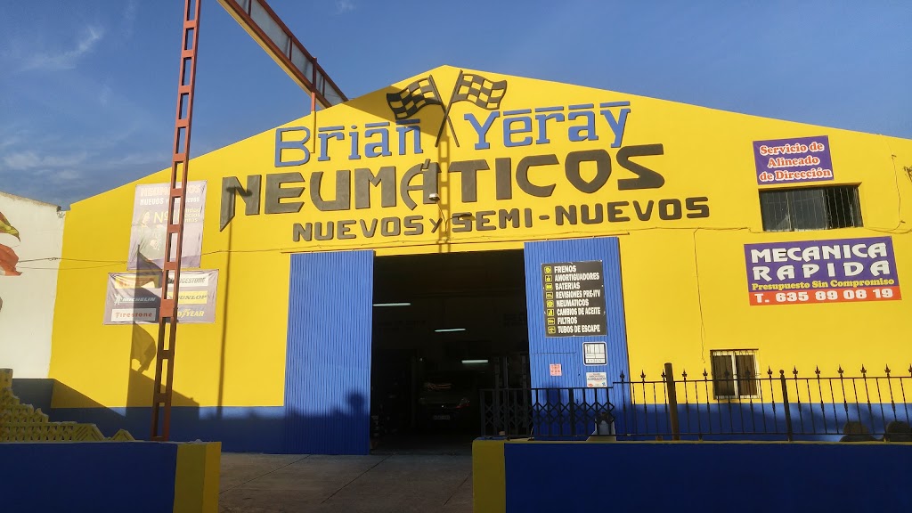 Brian Neumaticos Yeray Torrevieja — Todas
