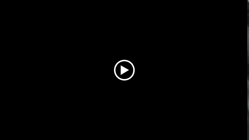 Clinica Veterinaria Sanus — Videos