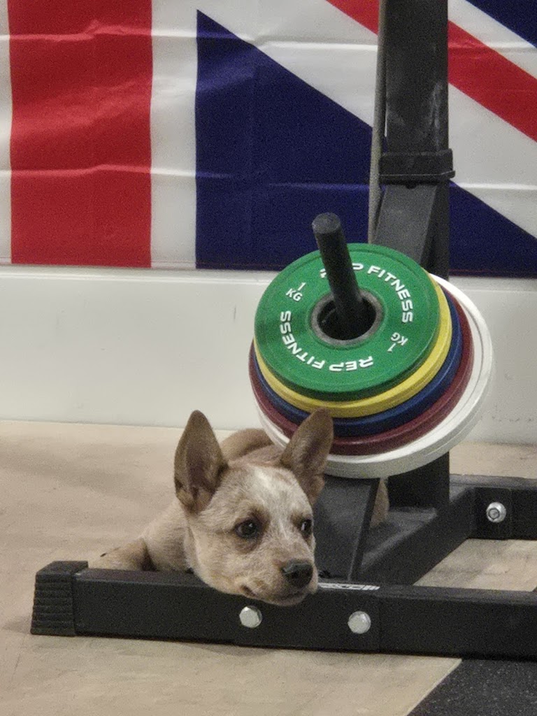  Colorado Weightlifting Club