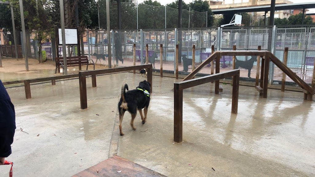 Parque De Perros Alfafar