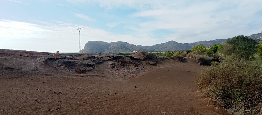 Desierto de Portman — Montana
