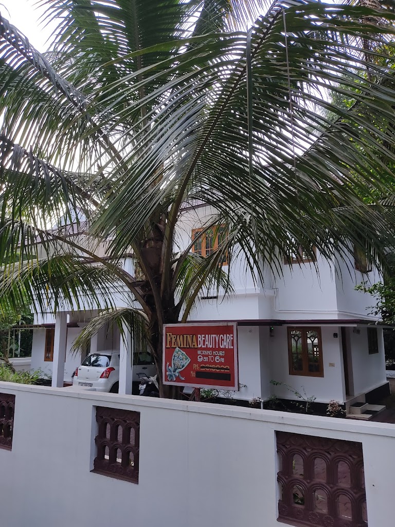 Femina Beauty Care