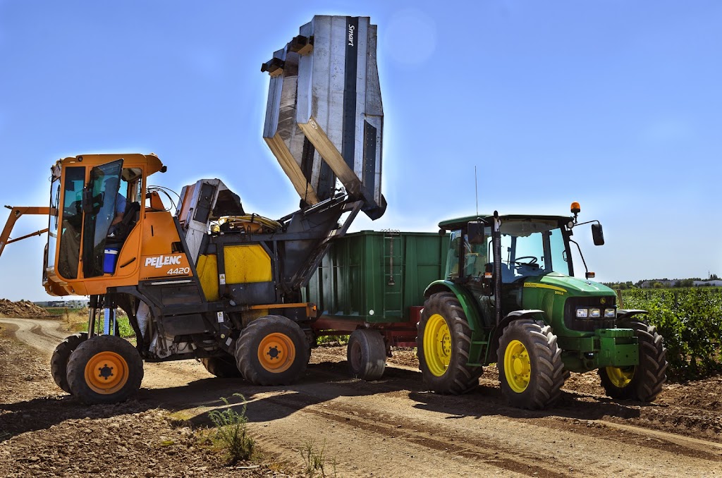 Jose Miguel Quevedo Espinosa